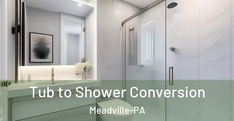 inner Bathroom imggen Tub to Shower Conversion Meadville-PA