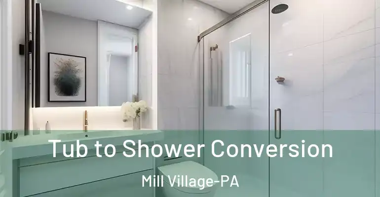 inner Bathroom imggen Tub to Shower Conversion Mill Village-PA