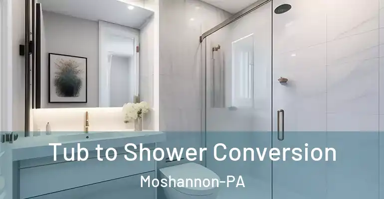inner Bathroom imggen Tub to Shower Conversion Moshannon-PA