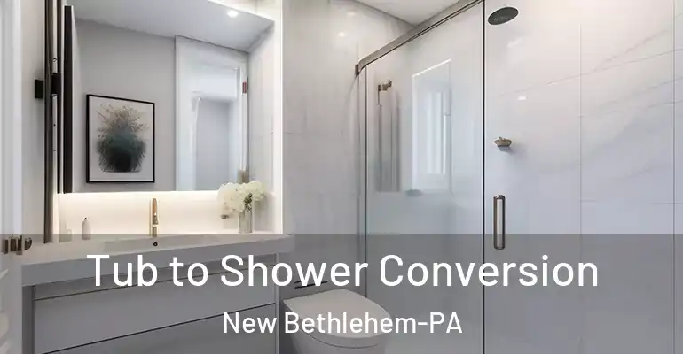 inner Bathroom imggen Tub to Shower Conversion New Bethlehem-PA