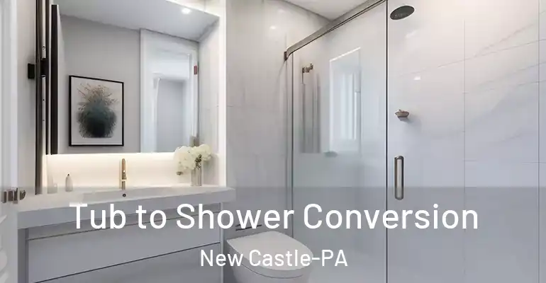 inner Bathroom imggen Tub to Shower Conversion New Castle-PA