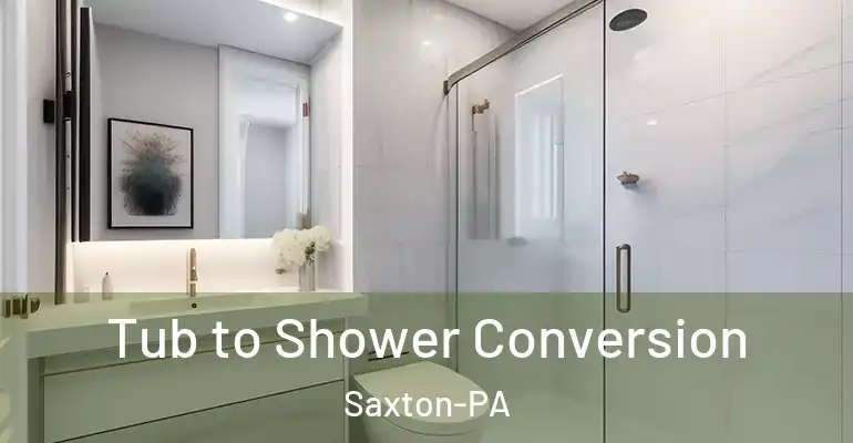 inner Bathroom imggen Tub to Shower Conversion Saxton-PA