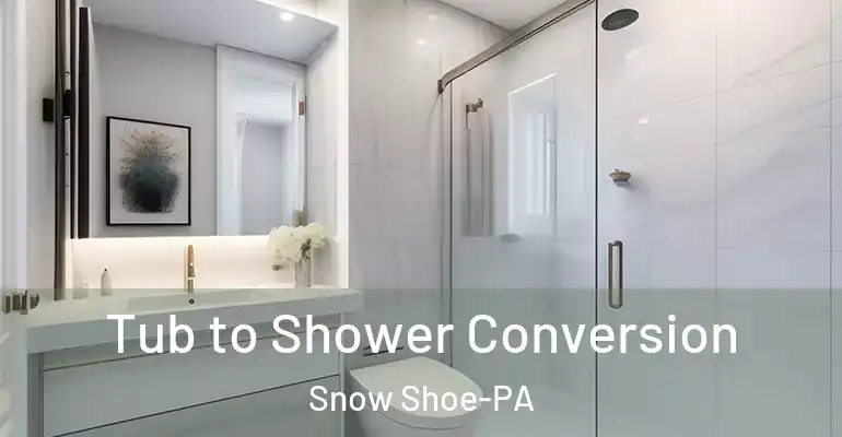 inner Bathroom imggen Tub to Shower Conversion Snow Shoe-PA