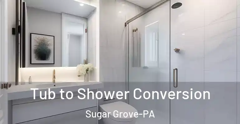 inner Bathroom imggen Tub to Shower Conversion Sugar Grove-PA