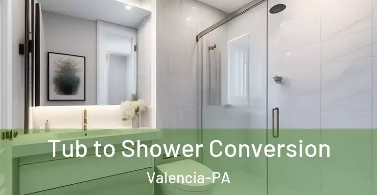 inner Bathroom imggen Tub to Shower Conversion Valencia-PA