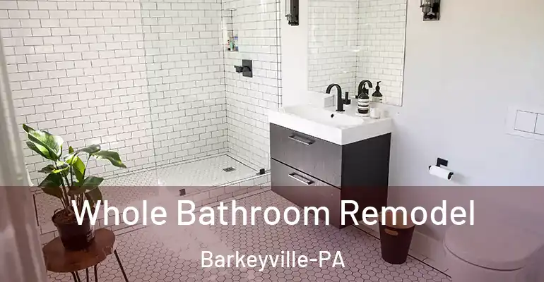 inner Bathroom imggen Whole Bathroom Remodel Barkeyville-PA