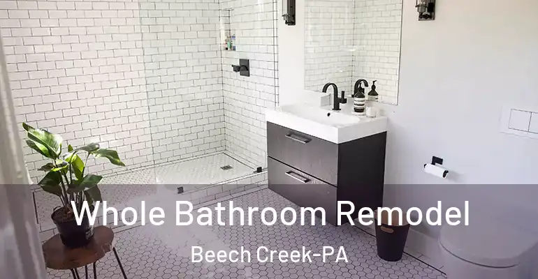 inner Bathroom imggen Whole Bathroom Remodel Beech Creek-PA