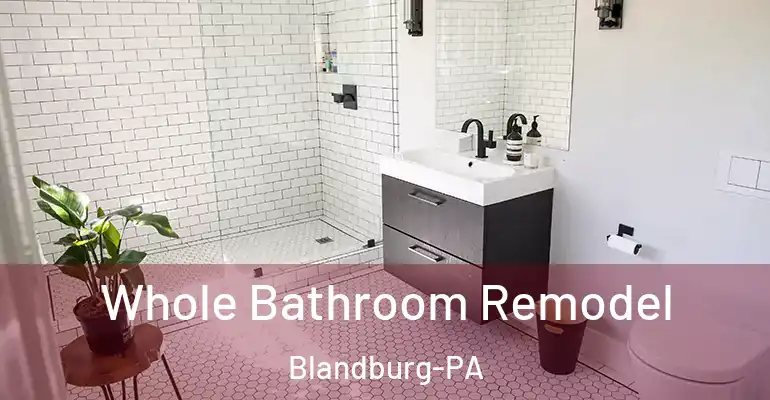 inner Bathroom imggen Whole Bathroom Remodel Blandburg-PA