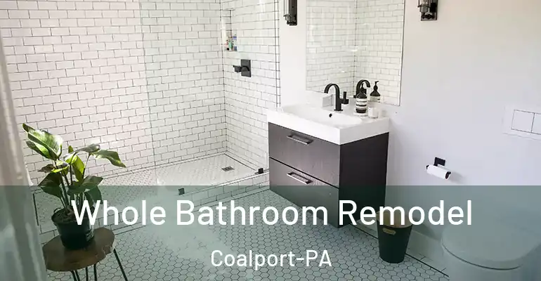 inner Bathroom imggen Whole Bathroom Remodel Coalport-PA