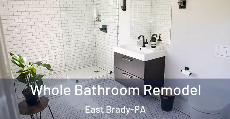 inner Bathroom imggen Whole Bathroom Remodel East Brady-PA