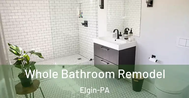 inner Bathroom imggen Whole Bathroom Remodel Elgin-PA