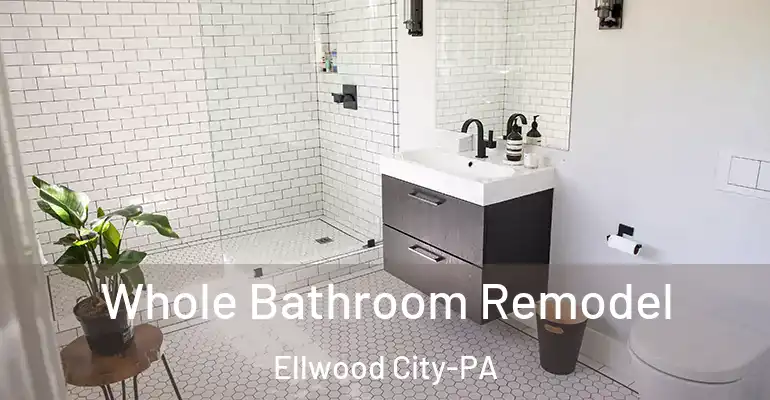 inner Bathroom imggen Whole Bathroom Remodel Ellwood City-PA