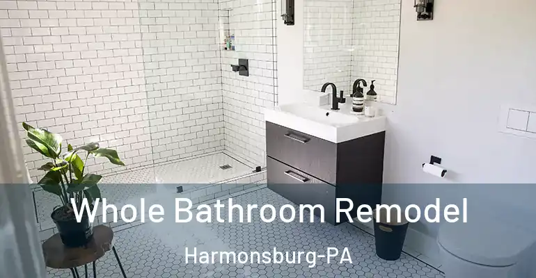 inner Bathroom imggen Whole Bathroom Remodel Harmonsburg-PA