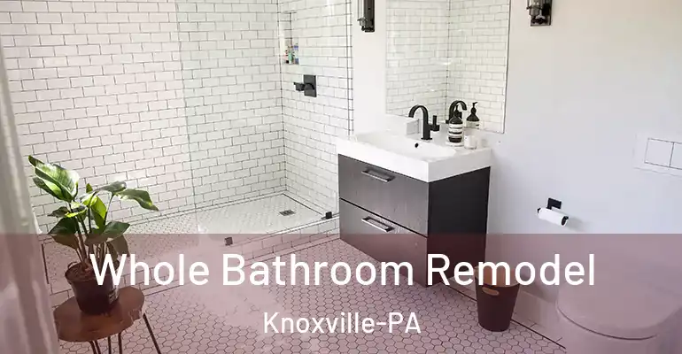 inner Bathroom imggen Whole Bathroom Remodel Knoxville-PA