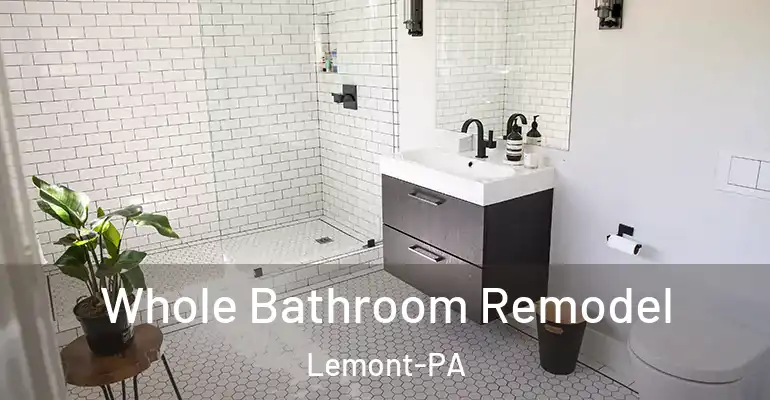 inner Bathroom imggen Whole Bathroom Remodel Lemont-PA