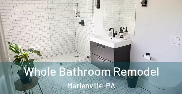inner Bathroom imggen Whole Bathroom Remodel Marienville-PA