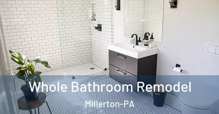 inner Bathroom imggen Whole Bathroom Remodel Millerton-PA