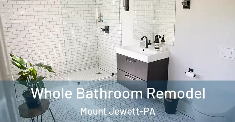 inner Bathroom imggen Whole Bathroom Remodel Mount Jewett-PA