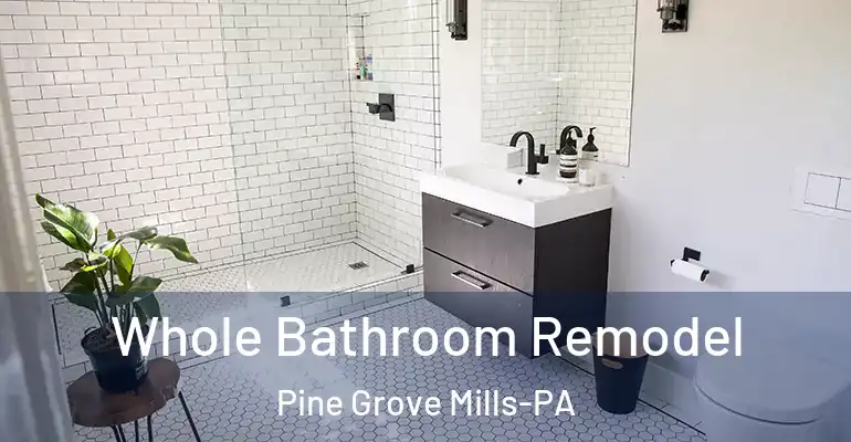 inner Bathroom imggen Whole Bathroom Remodel Pine Grove Mills-PA