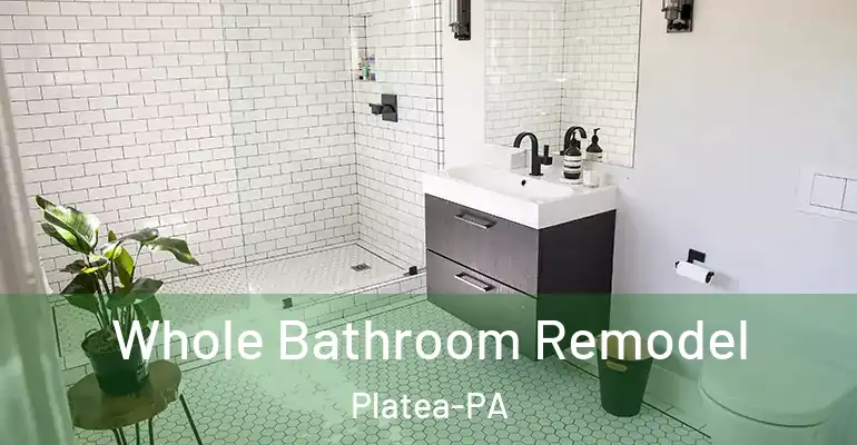inner Bathroom imggen Whole Bathroom Remodel Platea-PA
