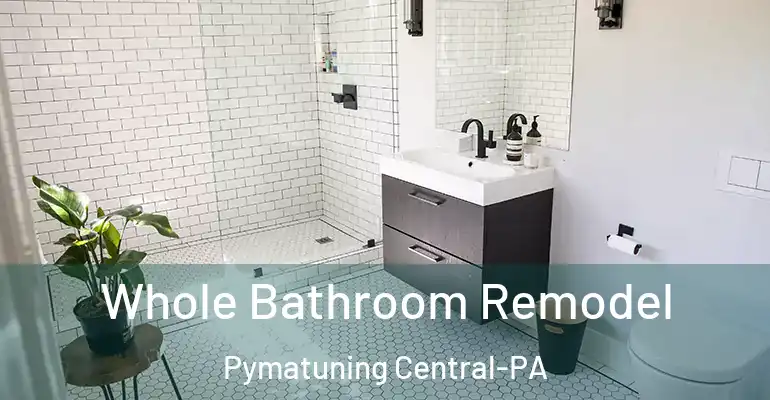 inner Bathroom imggen Whole Bathroom Remodel Pymatuning Central-PA