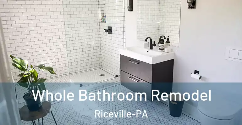 inner Bathroom imggen Whole Bathroom Remodel Riceville-PA