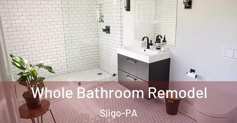 inner Bathroom imggen Whole Bathroom Remodel Sligo-PA
