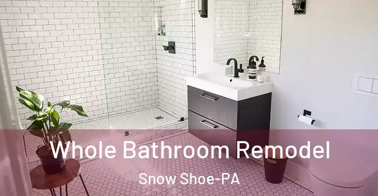 inner Bathroom imggen Whole Bathroom Remodel Snow Shoe-PA