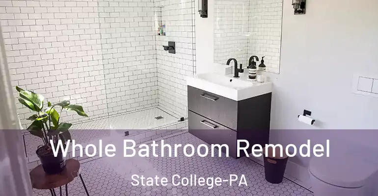 inner Bathroom imggen Whole Bathroom Remodel State College-PA