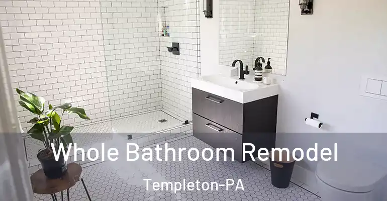 inner Bathroom imggen Whole Bathroom Remodel Templeton-PA