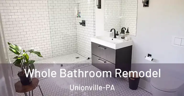 inner Bathroom imggen Whole Bathroom Remodel Unionville-PA