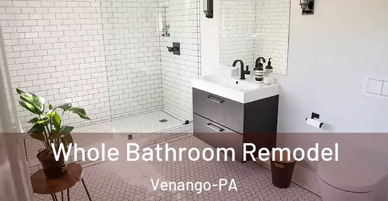 inner Bathroom imggen Whole Bathroom Remodel Venango-PA